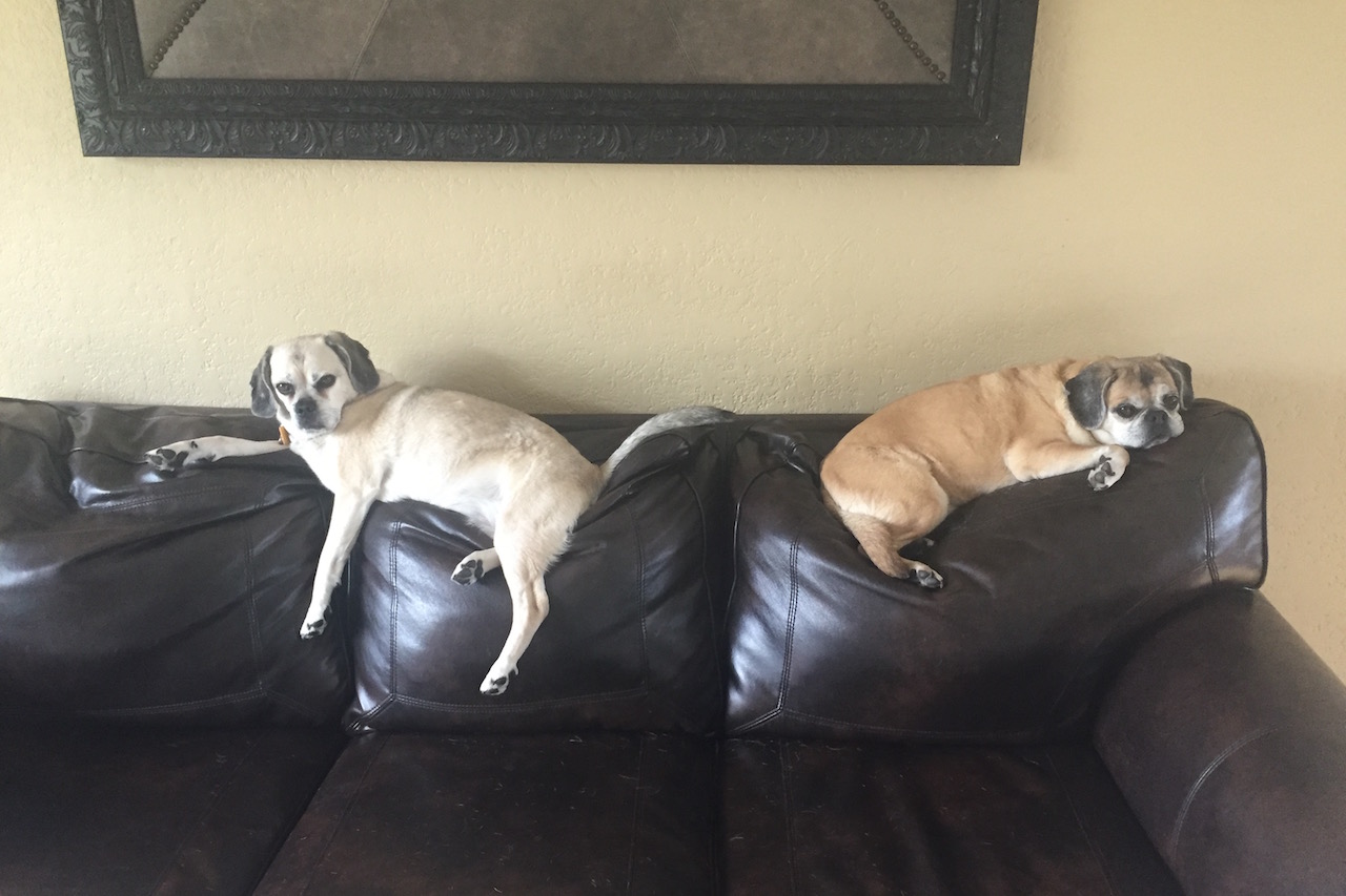 Another Weekend Gone